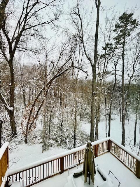 Tiny photo for 172 W Meeting St, Dandridge, TN 37725 (MLS # 1331364)