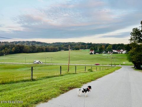 Tiny photo for 172 W Meeting St, Dandridge, TN 37725 (MLS # 1331364)