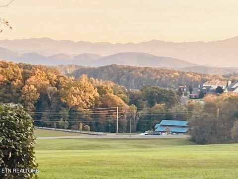 Tiny photo for 172 W Meeting St, Dandridge, TN 37725 (MLS # 1331364)