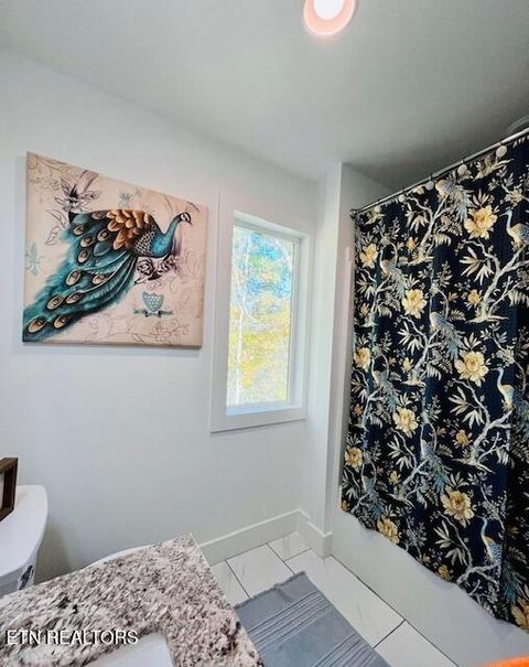 Tiny photo for 172 W Meeting St, Dandridge, TN 37725 (MLS # 1331364)