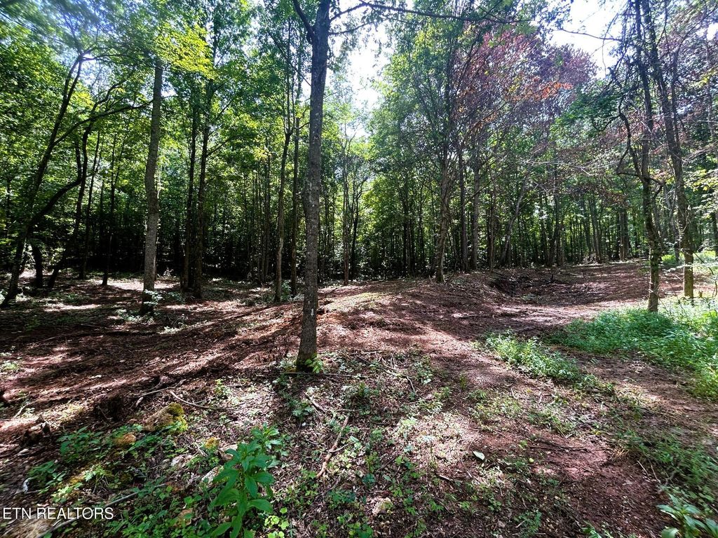 Photo of 8 Pleasant Hill Road, Ten Mile, TN 37880 (MLS # 1310735)
