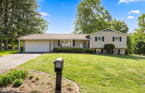 Photo of 804 Venice Rd, Knoxville, TN 37923 (MLS # 1339455)
