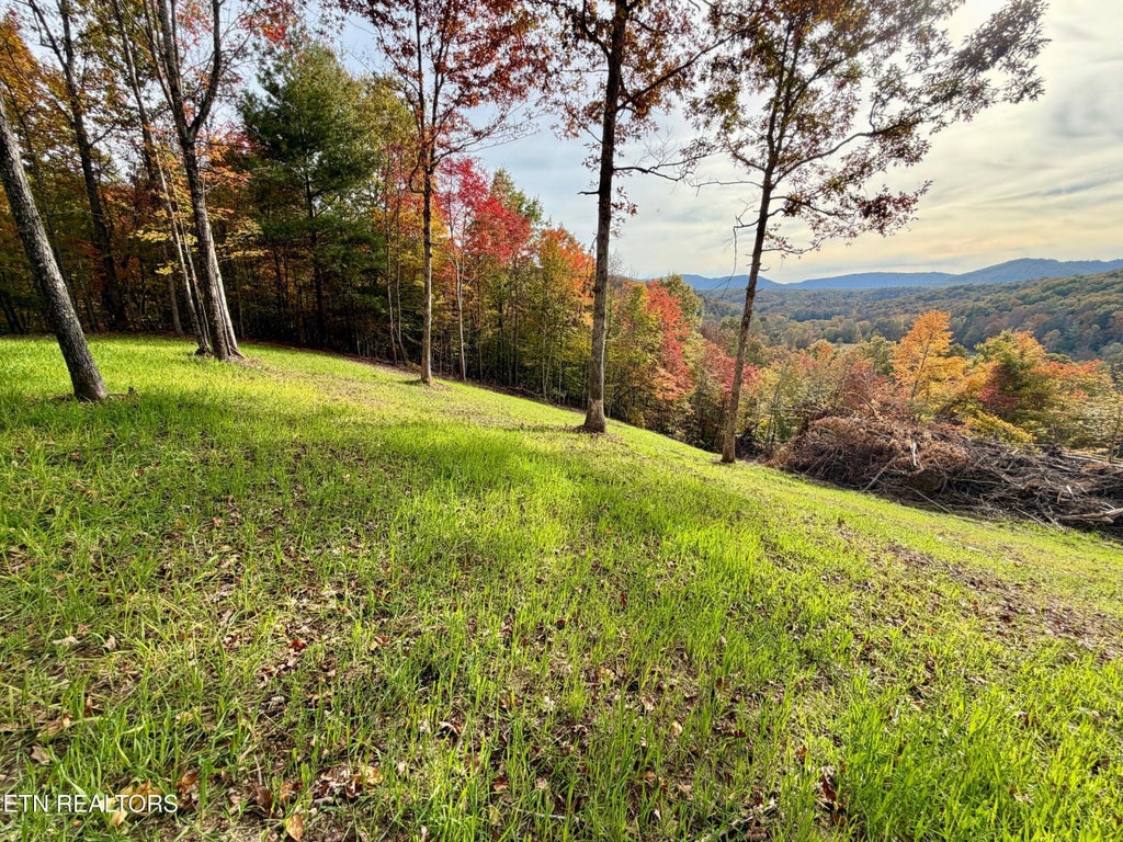 Photo of Wolf Creek Rd, Huntsville, TN 37756 (MLS # 1360677)