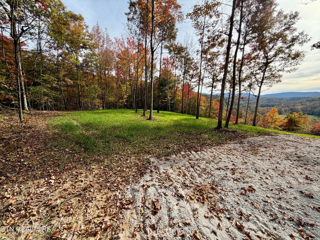 Photo of Wolf Creek Rd, Huntsville, TN 37756 (MLS # 1360677)
