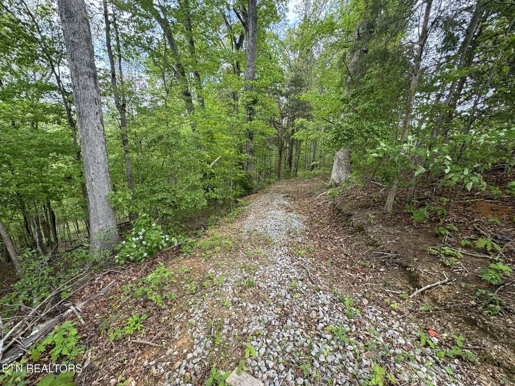 Photo of Bat Creek Shores Lane, Vonore, TN 37885 (MLS # 1338298)