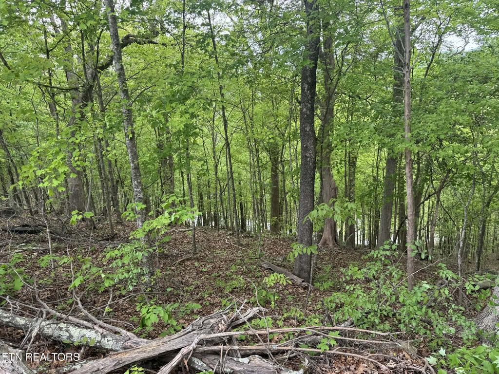 Photo of Bat Creek Shores Lane, Vonore, TN 37885 (MLS # 1338298)
