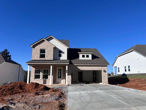 Photo of 125 Sugar Maple Trail (Lot 113), Lenoir City, TN 37771 (MLS # 1330441)