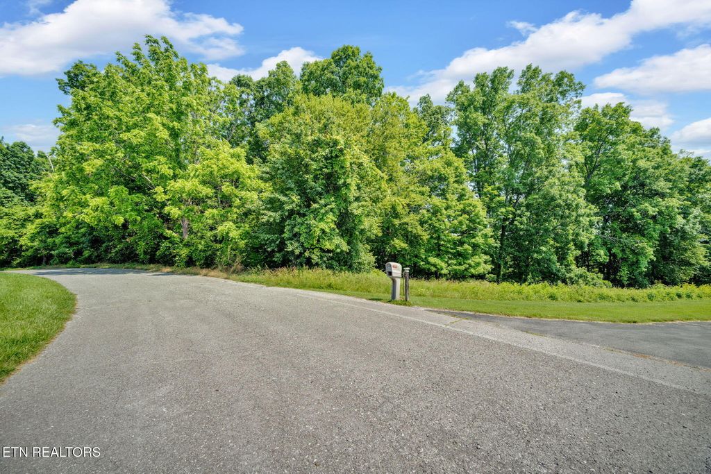 Photo of Della Lane, Tazewell, TN 37879 (MLS # 1303335)