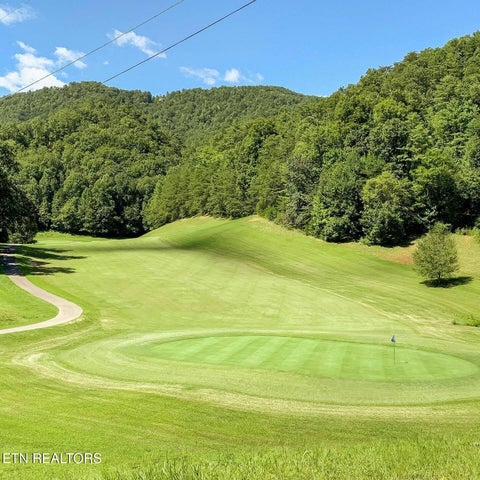 Tiny photo for 374 Laurel Rd, Townsend, TN 37882 (MLS # 1345294)