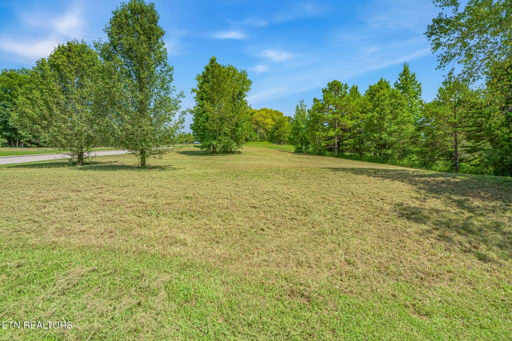 Photo of 261 Serenity Drive, Harriman, TN 37748 (MLS # 1350343)