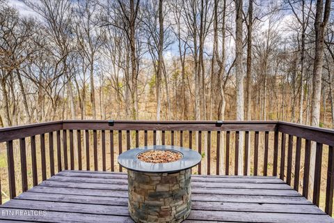 Tiny photo for 1050 Briar Court, Talbott, TN 37877 (MLS # 1332330)