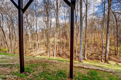 Tiny photo for 1050 Briar Court, Talbott, TN 37877 (MLS # 1332330)