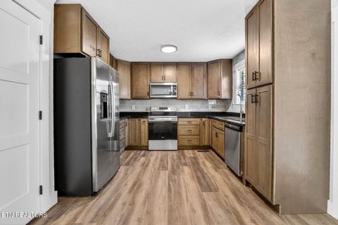 Tiny photo for 1050 Briar Court, Talbott, TN 37877 (MLS # 1332330)