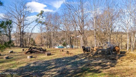 Tiny photo for 183 Laurel Rd, Clinton, TN 37716 (MLS # 1326454)