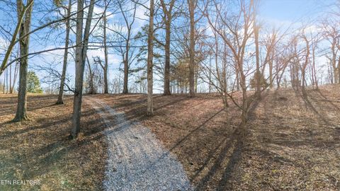 Tiny photo for 183 Laurel Rd, Clinton, TN 37716 (MLS # 1326454)