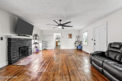 Tiny photo for 183 Laurel Rd, Clinton, TN 37716 (MLS # 1326454)