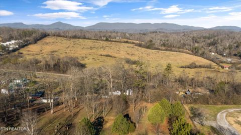 Tiny photo for 183 Laurel Rd, Clinton, TN 37716 (MLS # 1326454)