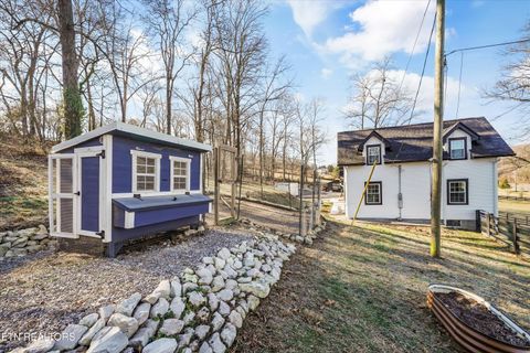 Tiny photo for 183 Laurel Rd, Clinton, TN 37716 (MLS # 1326454)