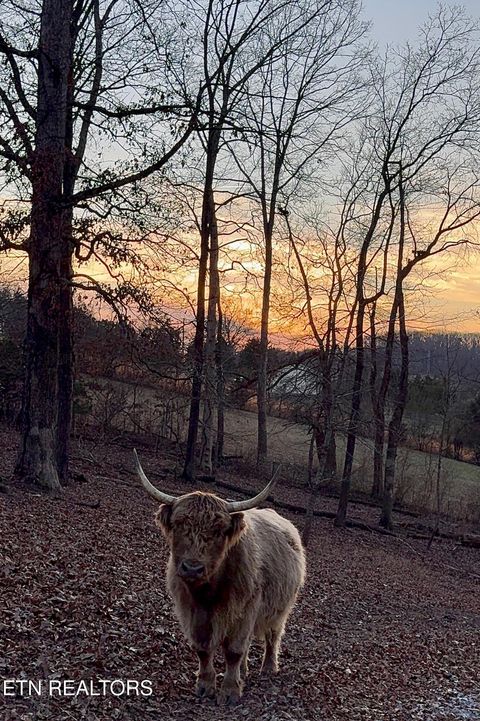 Tiny photo for 183 Laurel Rd, Clinton, TN 37716 (MLS # 1326454)