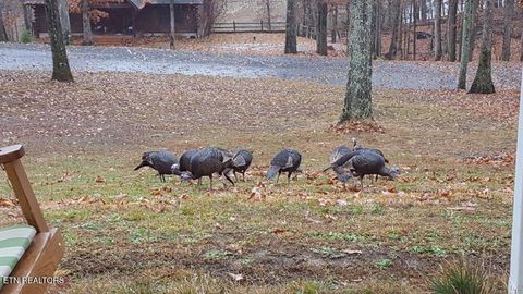 Tiny photo for 707 E Muskogee Drive, Mooresburg, TN 37811 (MLS # 1325998)