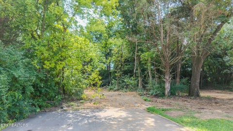 Tiny photo for Dunraven-Wickersham-Kimbrough Drive, Knoxville, TN 37922 (MLS # 1354008)