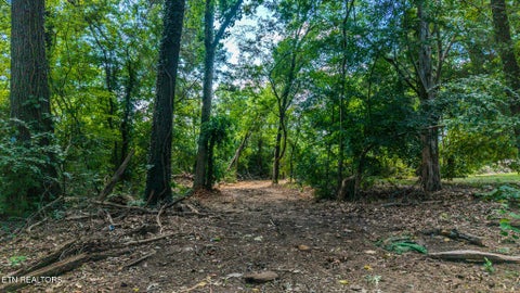 Tiny photo for Dunraven-Wickersham-Kimbrough Drive, Knoxville, TN 37922 (MLS # 1354008)