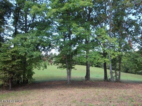 Tiny photo for 2275 Little Mountain Rd, Russellville, TN 37860 (MLS # 1356123)