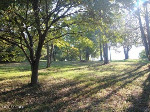 Tiny photo for 2275 Little Mountain Rd, Russellville, TN 37860 (MLS # 1356123)