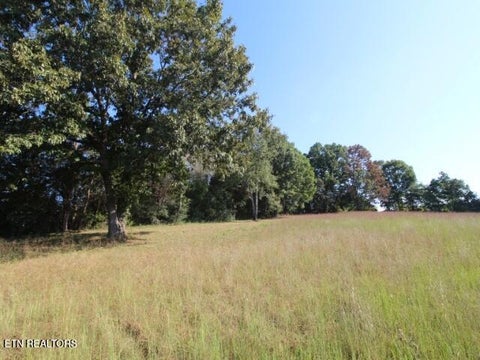 Tiny photo for 2275 Little Mountain Rd, Russellville, TN 37860 (MLS # 1356123)