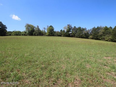 Tiny photo for 2275 Little Mountain Rd, Russellville, TN 37860 (MLS # 1356123)