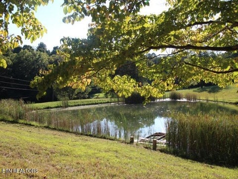 Tiny photo for 2275 Little Mountain Rd, Russellville, TN 37860 (MLS # 1356123)