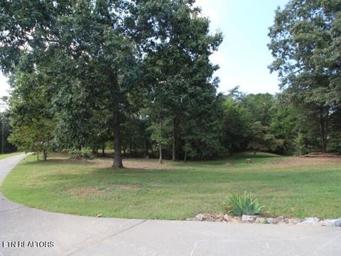 Tiny photo for 2275 Little Mountain Rd, Russellville, TN 37860 (MLS # 1356123)