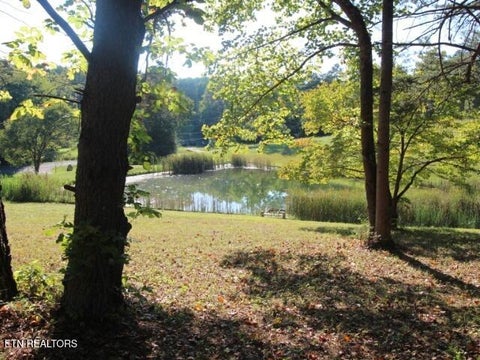 Tiny photo for 2275 Little Mountain Rd, Russellville, TN 37860 (MLS # 1356123)