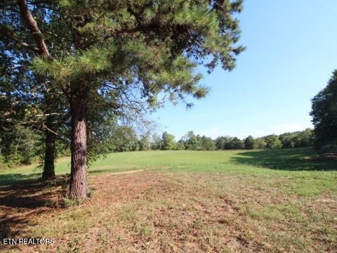 Tiny photo for 2275 Little Mountain Rd, Russellville, TN 37860 (MLS # 1356123)