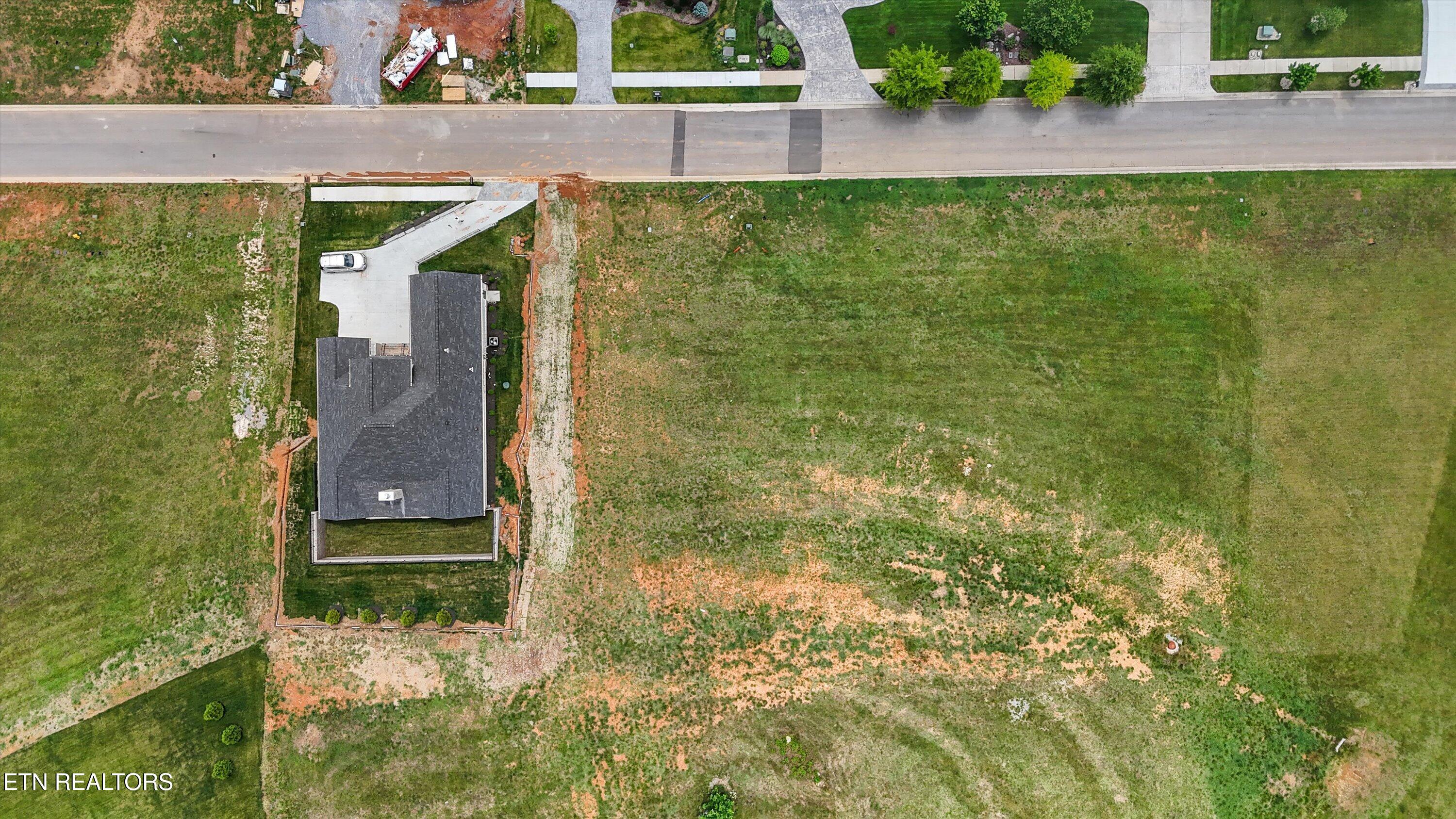 2532 Persimmon