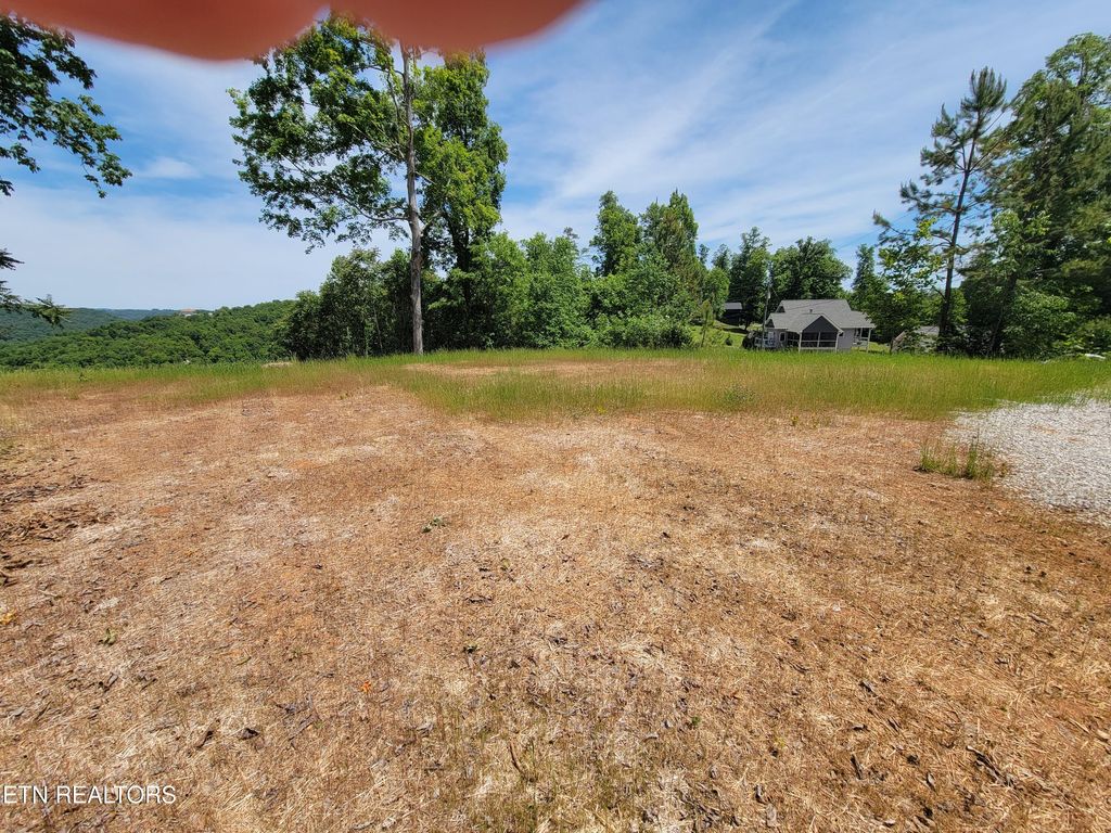 Photo of 548 Hickory Pointe Lane, Maynardville, TN 37807 (MLS # 1342272)