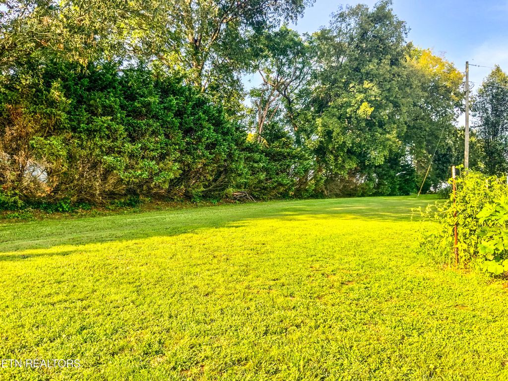 Photo of 7960 Morganton Rd, Greenback, TN 37742 (MLS # 1271724)