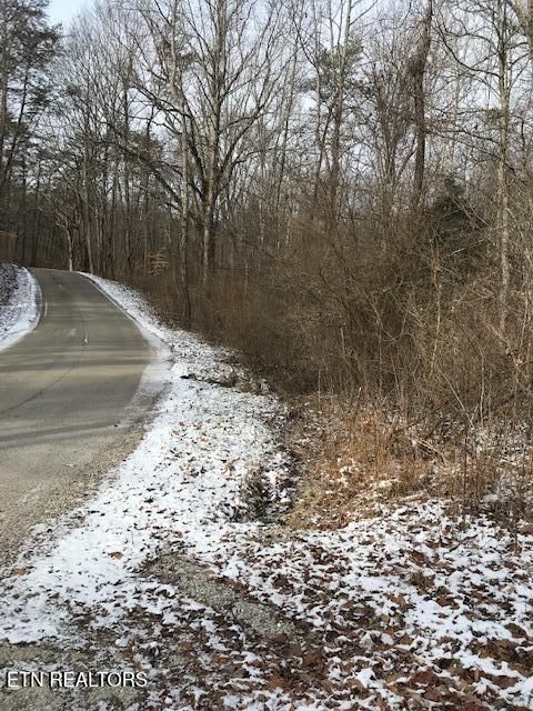 111 213.00 Concord Rd Robbins TN 37852