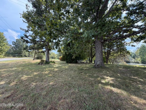 Tiny photo for 6111 Nashville Hwy, Deer Lodge, TN 37726 (MLS # 1356108)
