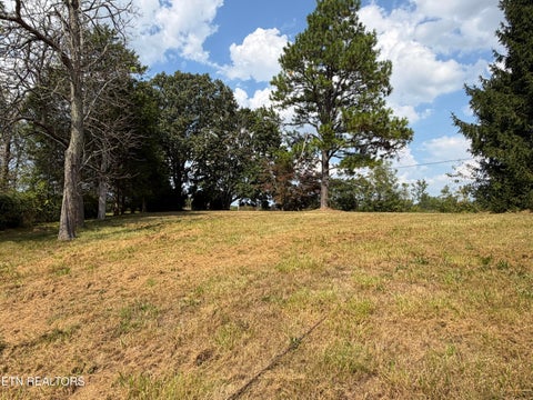 Tiny photo for 6111 Nashville Hwy, Deer Lodge, TN 37726 (MLS # 1356108)