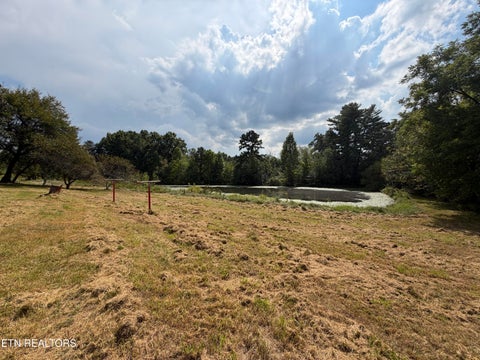 Tiny photo for 6111 Nashville Hwy, Deer Lodge, TN 37726 (MLS # 1356108)