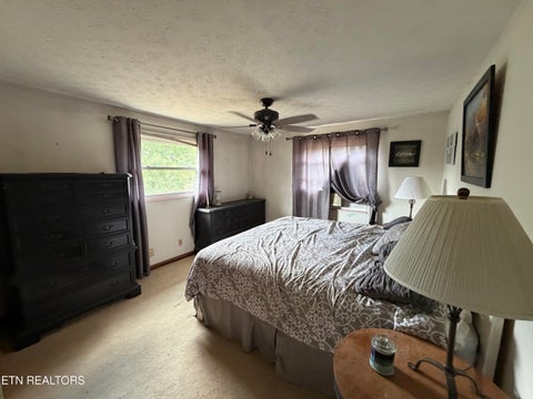 Tiny photo for 6111 Nashville Hwy, Deer Lodge, TN 37726 (MLS # 1356108)