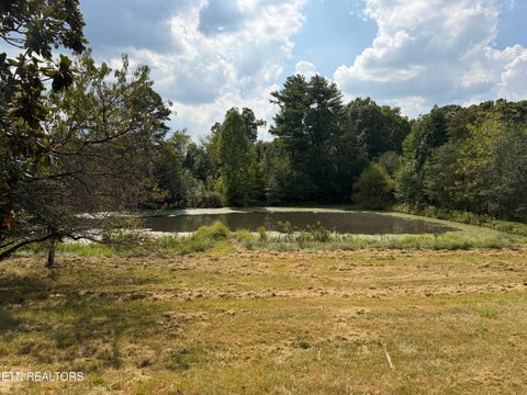 Tiny photo for 6111 Nashville Hwy, Deer Lodge, TN 37726 (MLS # 1356108)