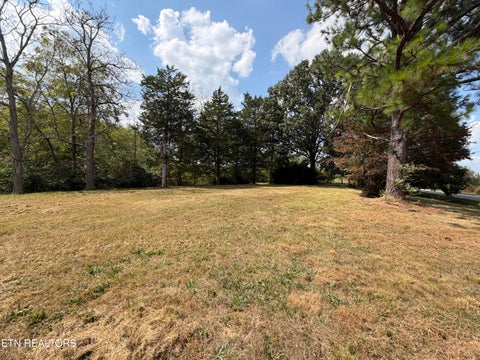 Tiny photo for 6111 Nashville Hwy, Deer Lodge, TN 37726 (MLS # 1356108)