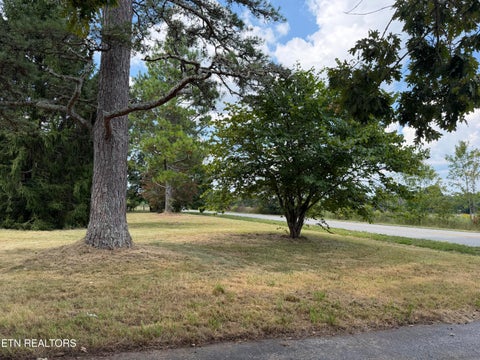 Tiny photo for 6111 Nashville Hwy, Deer Lodge, TN 37726 (MLS # 1356108)