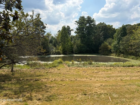 Tiny photo for 6111 Nashville Hwy, Deer Lodge, TN 37726 (MLS # 1356108)