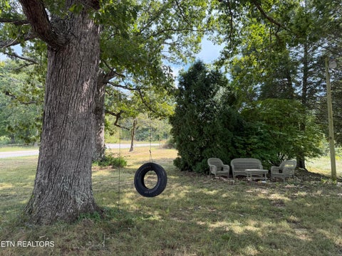 Tiny photo for 6111 Nashville Hwy, Deer Lodge, TN 37726 (MLS # 1356108)