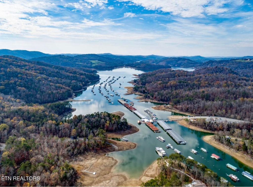 Photo of 519 STRAIGHT CREEK CHURCH Rd, New Tazewell, TN 37825 (MLS # 1275027)