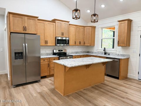 Tiny photo for 794 Red Cloud Rd, Ten Mile, TN 37880 (MLS # 1335951)