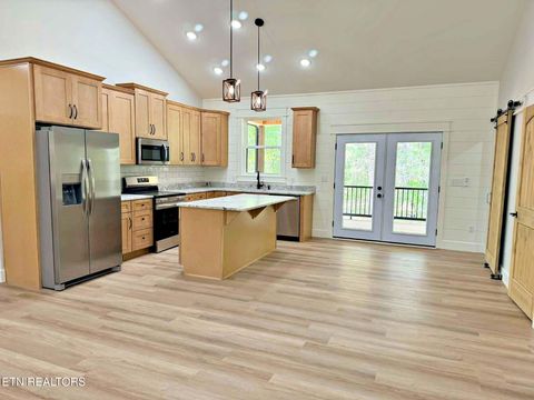 Tiny photo for 794 Red Cloud Rd, Ten Mile, TN 37880 (MLS # 1335951)